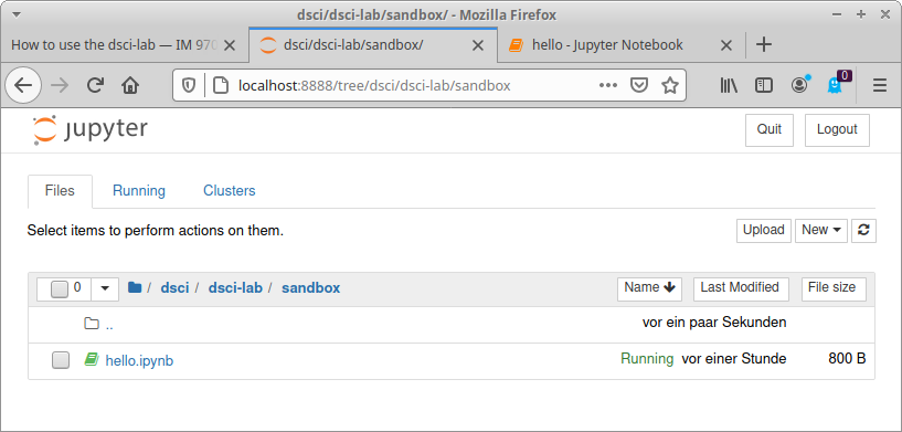 _images/jupyter_tree_dsci_dsci-lab_sandbox_hello.png